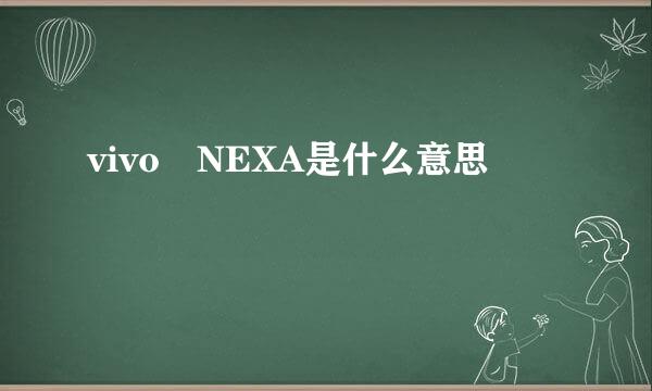 vivo NEXA是什么意思