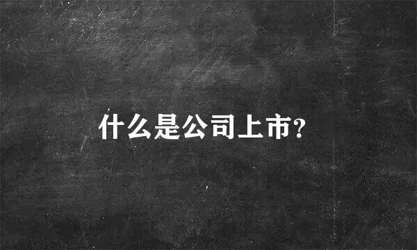 什么是公司上市？