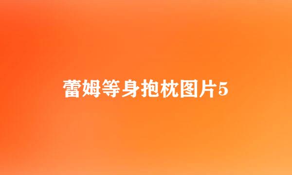 蕾姆等身抱枕图片5