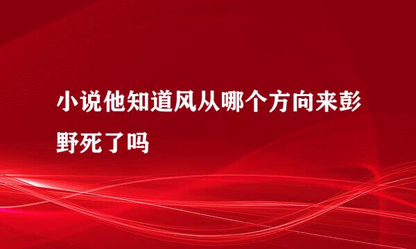 小说他知道风从哪个方向来彭野死了吗