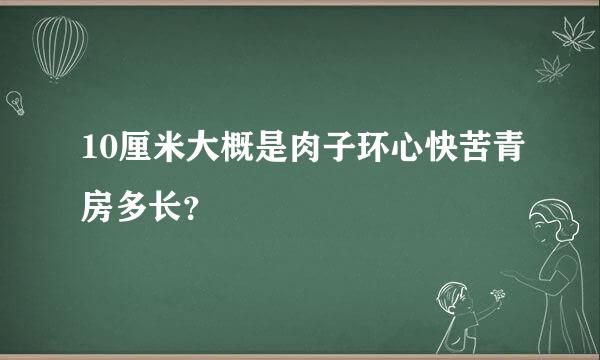 10厘米大概是肉子环心快苦青房多长？