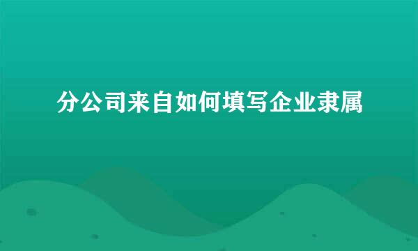 分公司来自如何填写企业隶属