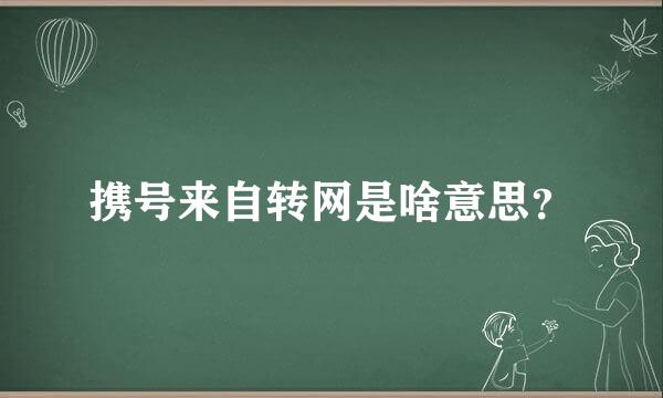 携号来自转网是啥意思？