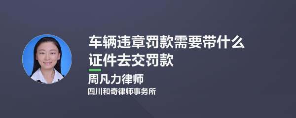 处理公司的车辆违章需要提供什么证件?