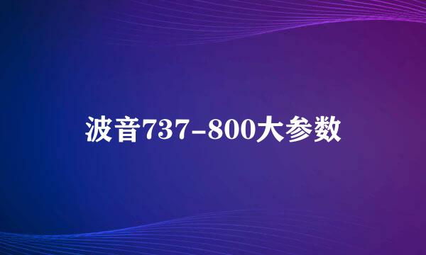 波音737-800大参数