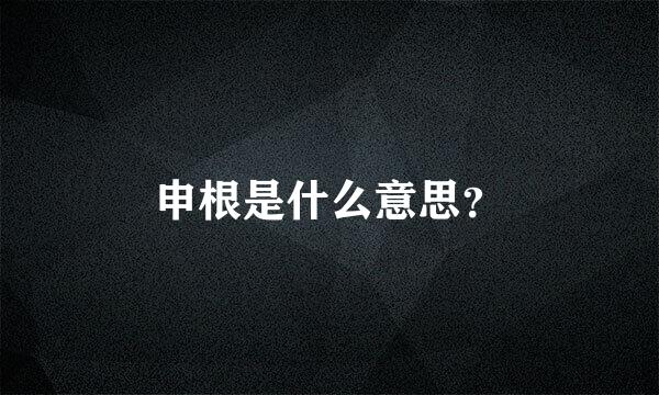 申根是什么意思？