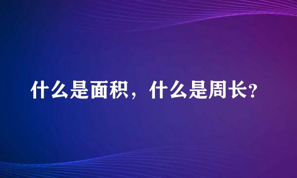 什么是面积，什么是周长？