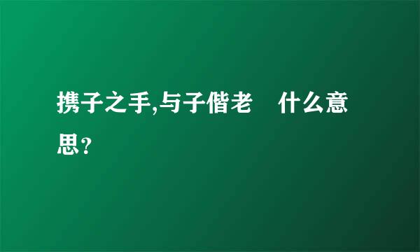 携子之手,与子偕老 什么意思？