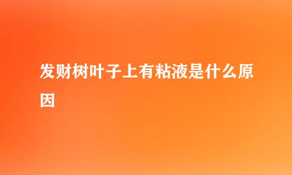 发财树叶子上有粘液是什么原因