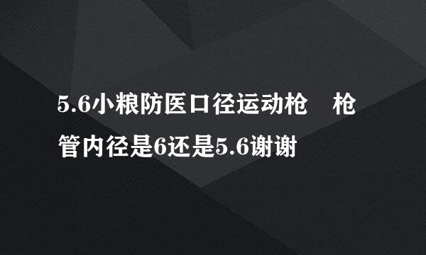 5.6小粮防医口径运动枪 枪管内径是6还是5.6谢谢