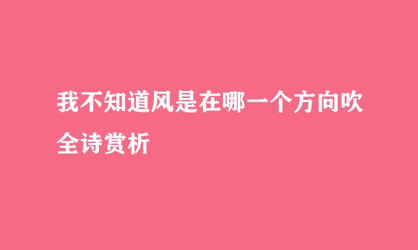 我不知道风是在哪一个方向吹全诗赏析