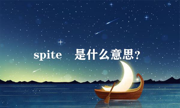 spite 是什么意思？