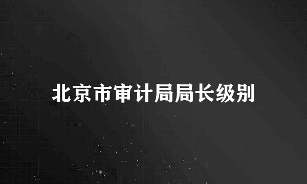 北京市审计局局长级别