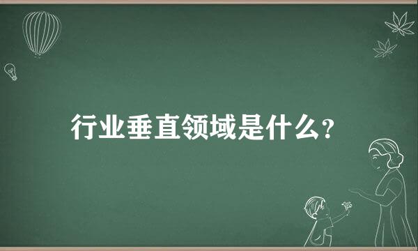 行业垂直领域是什么？