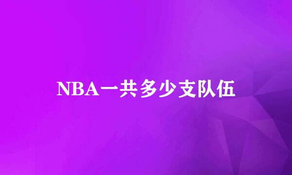 NBA一共多少支队伍