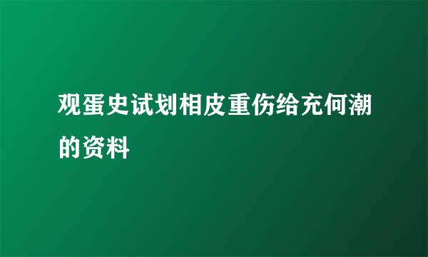 观蛋史试划相皮重伤给充何潮的资料