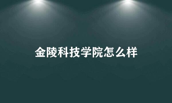 金陵科技学院怎么样