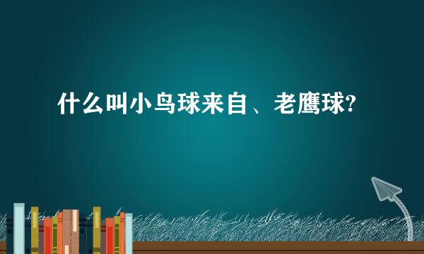 什么叫小鸟球来自、老鹰球?