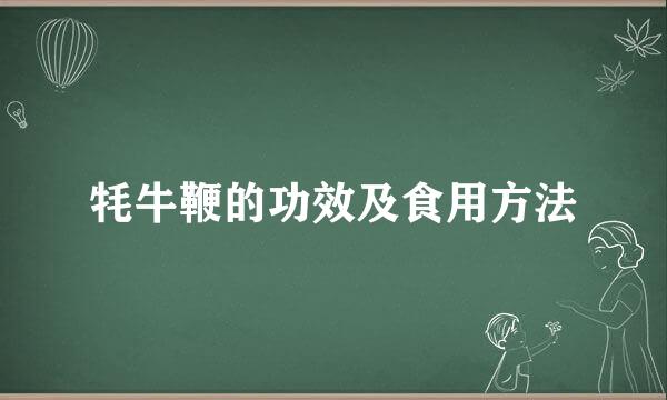 牦牛鞭的功效及食用方法