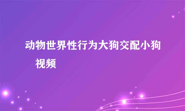 动物世界性行为大狗交配小狗 视频