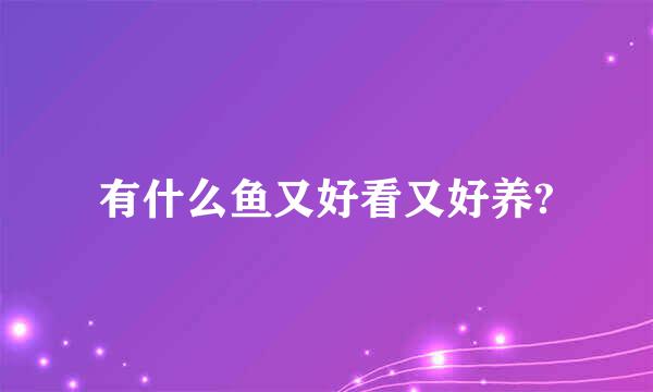 有什么鱼又好看又好养?