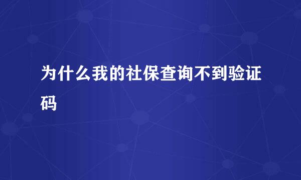 为什么我的社保查询不到验证码