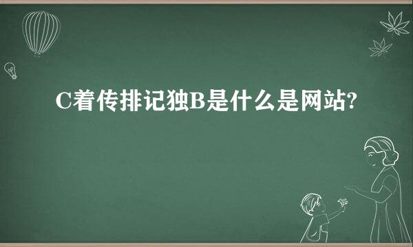 C着传排记独B是什么是网站?