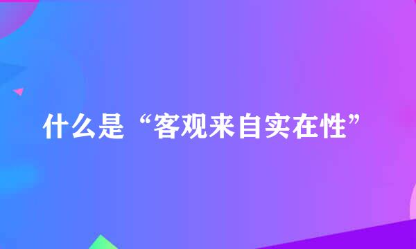 什么是“客观来自实在性”