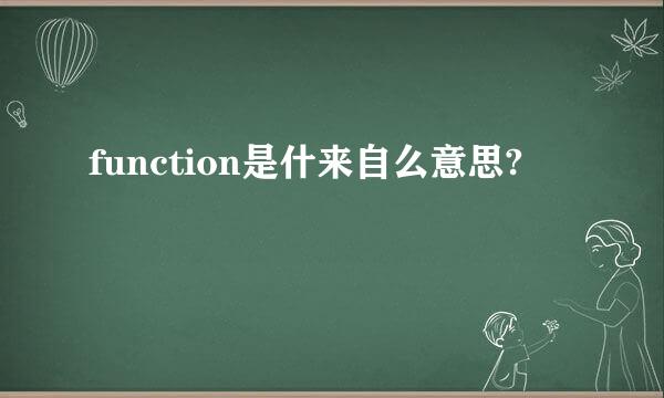 function是什来自么意思?