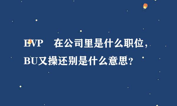 EVP 在公司里是什么职位，BU又操还别是什么意思？