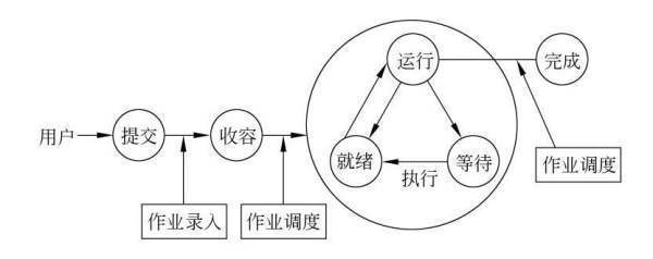 什么是操作性定义 ?