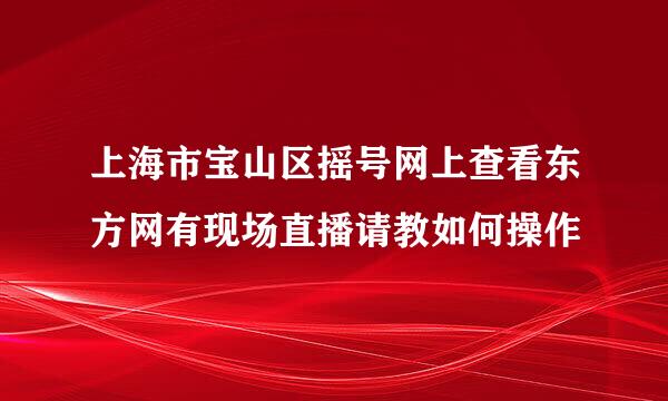 上海市宝山区摇号网上查看东方网有现场直播请教如何操作