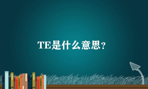 TE是什么意思？