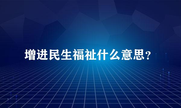 增进民生福祉什么意思？