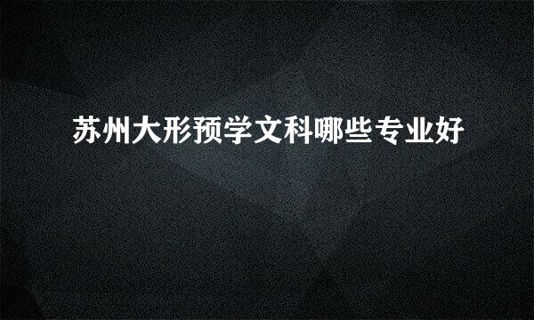 苏州大形预学文科哪些专业好