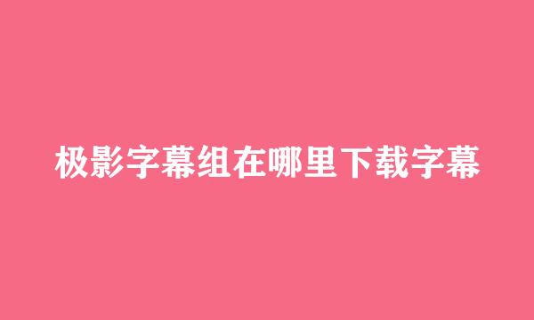 极影字幕组在哪里下载字幕