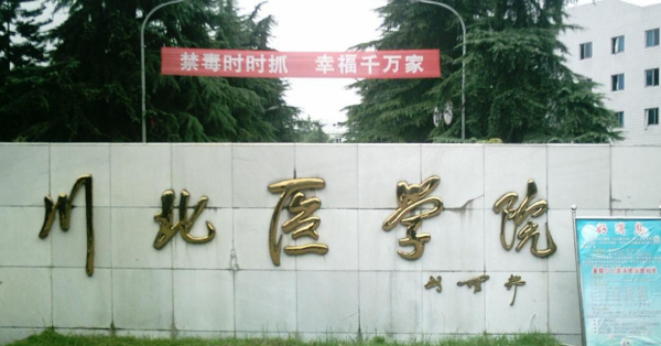 南充有哪些大学