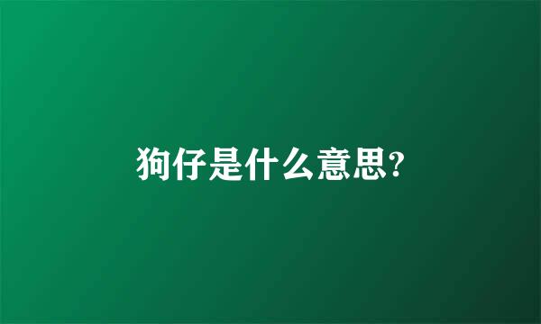 狗仔是什么意思?