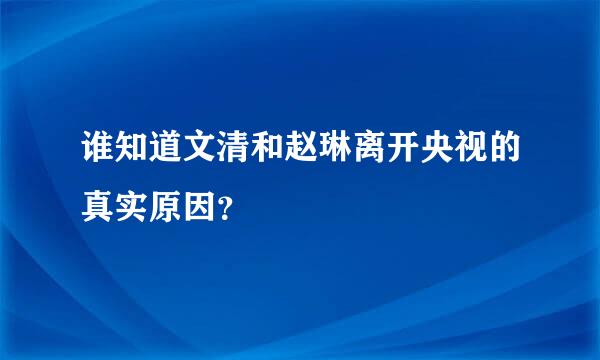 谁知道文清和赵琳离开央视的真实原因？