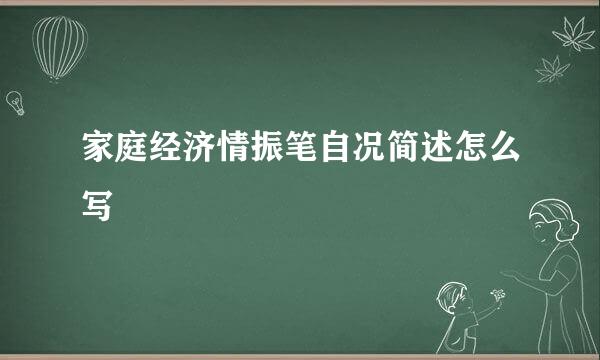 家庭经济情振笔自况简述怎么写