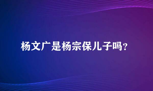 杨文广是杨宗保儿子吗？