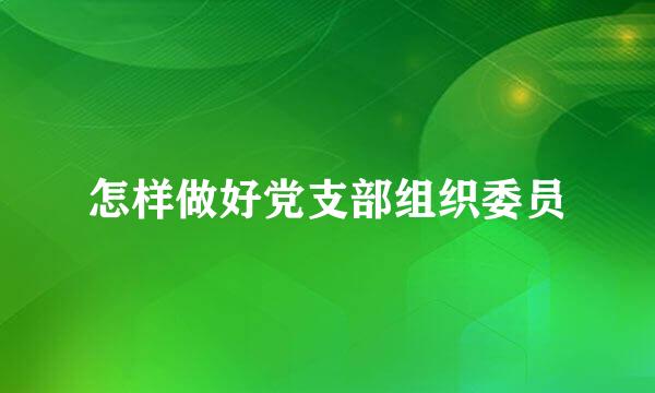 怎样做好党支部组织委员