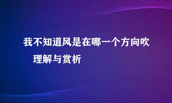 我不知道风是在哪一个方向吹 理解与赏析