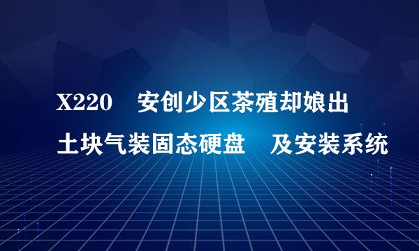 X220 安创少区茶殖却娘出土块气装固态硬盘 及安装系统