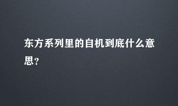 东方系列里的自机到底什么意思？