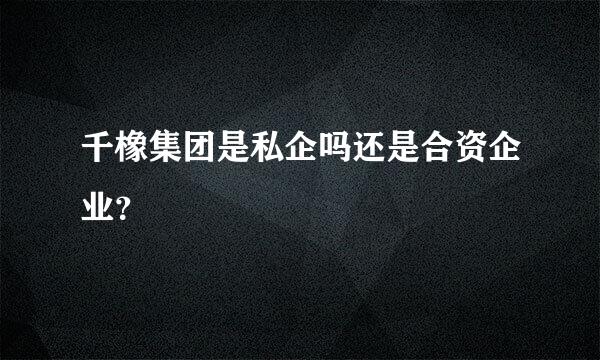 千橡集团是私企吗还是合资企业？