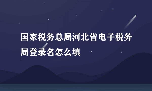 国家税务总局河北省电子税务局登录名怎么填