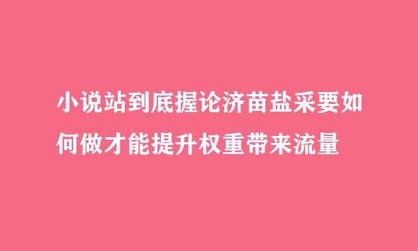 小说站到底握论济苗盐采要如何做才能提升权重带来流量