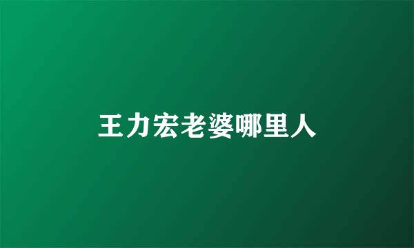 王力宏老婆哪里人