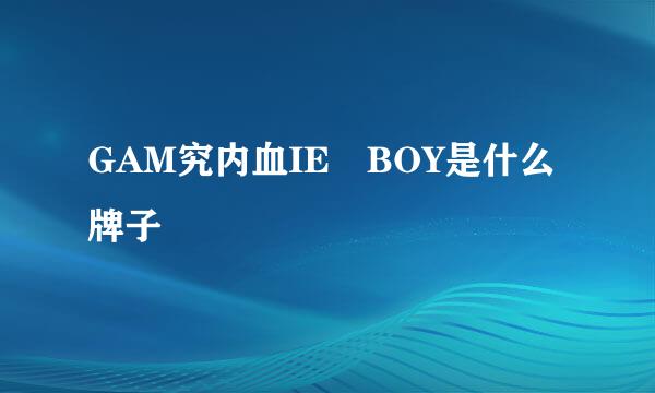 GAM究内血IE BOY是什么牌子